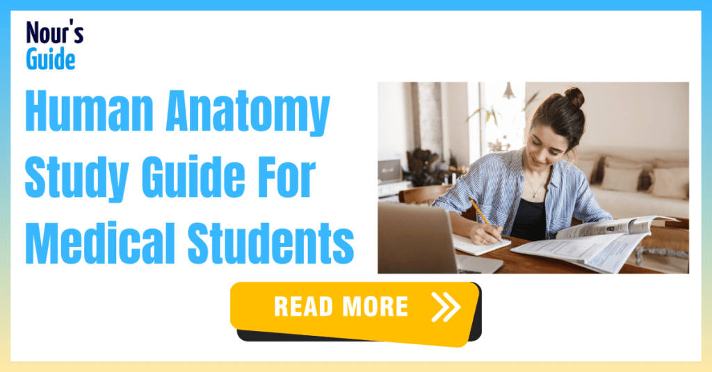 2024 Ultimate Anatomy Study Guide For Medical Students